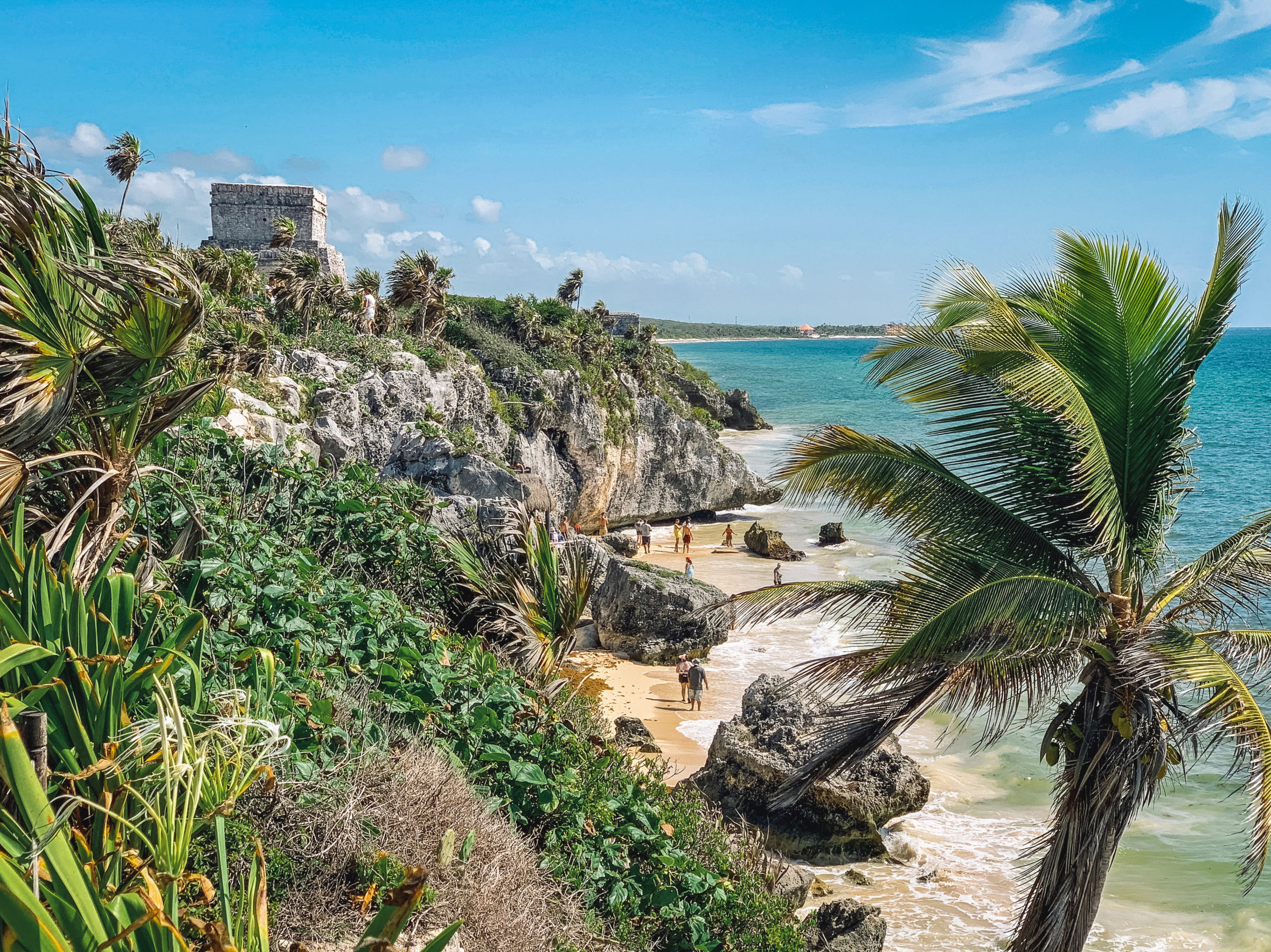 Tulum ruins by the sea with palm trees in Tulum