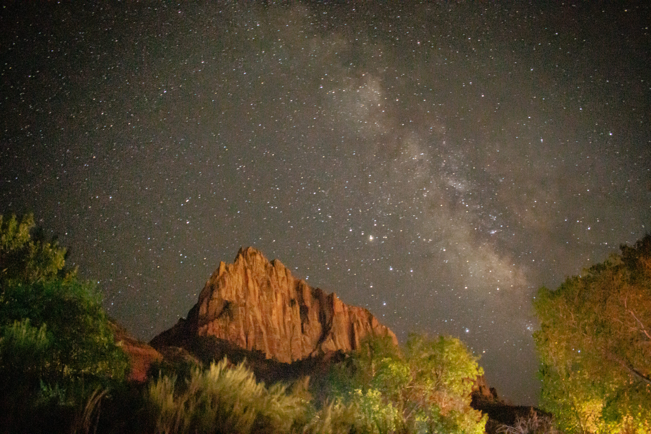 Starry night and the Milky Way in Zion National Park