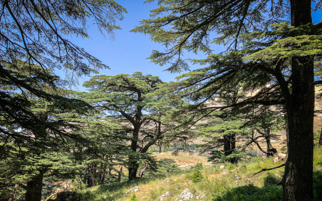LEBANON: Our guide to this hidden gem