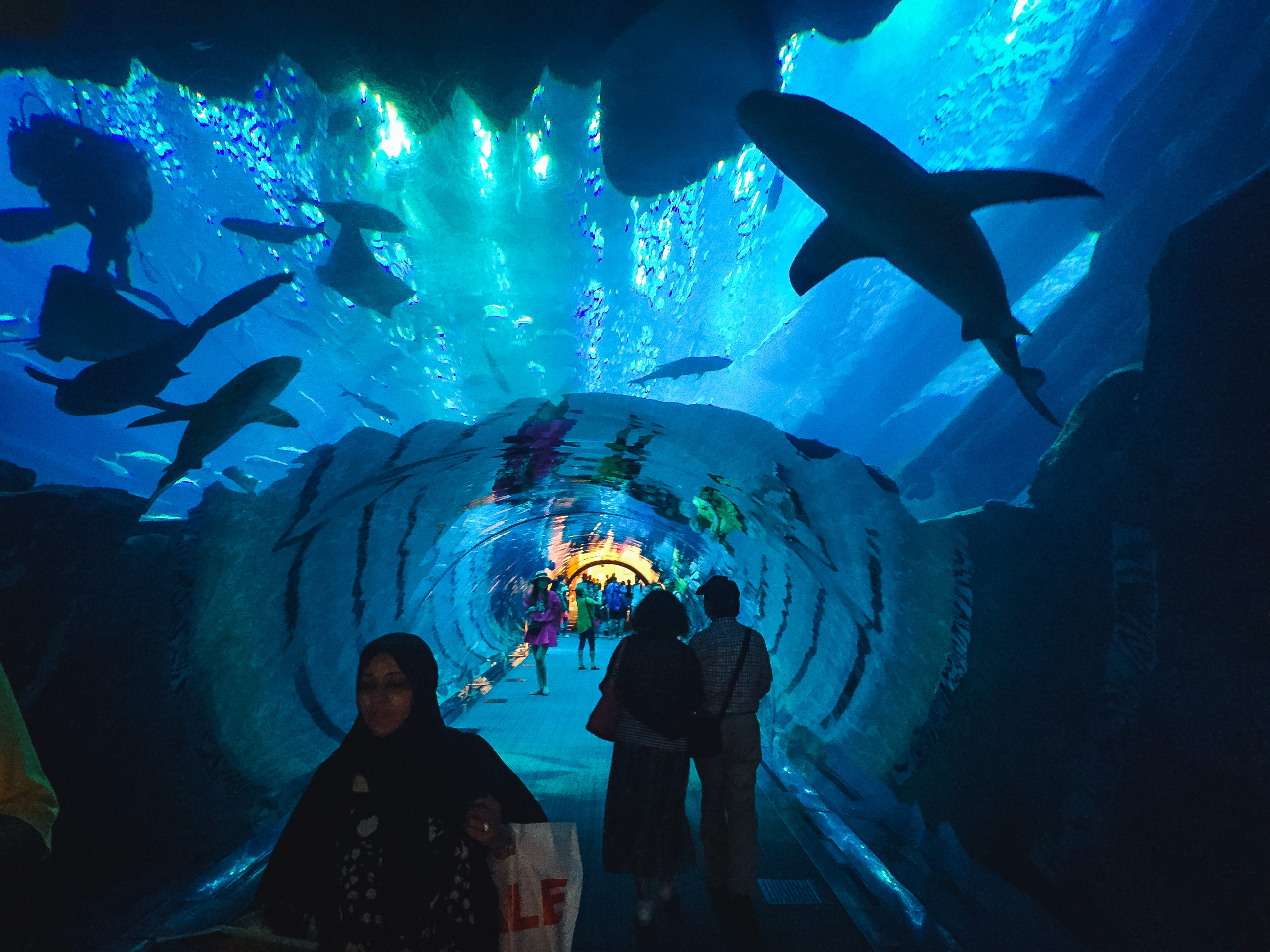 People walking in an aquarium tunnel in the Dubai Mall in Dubai