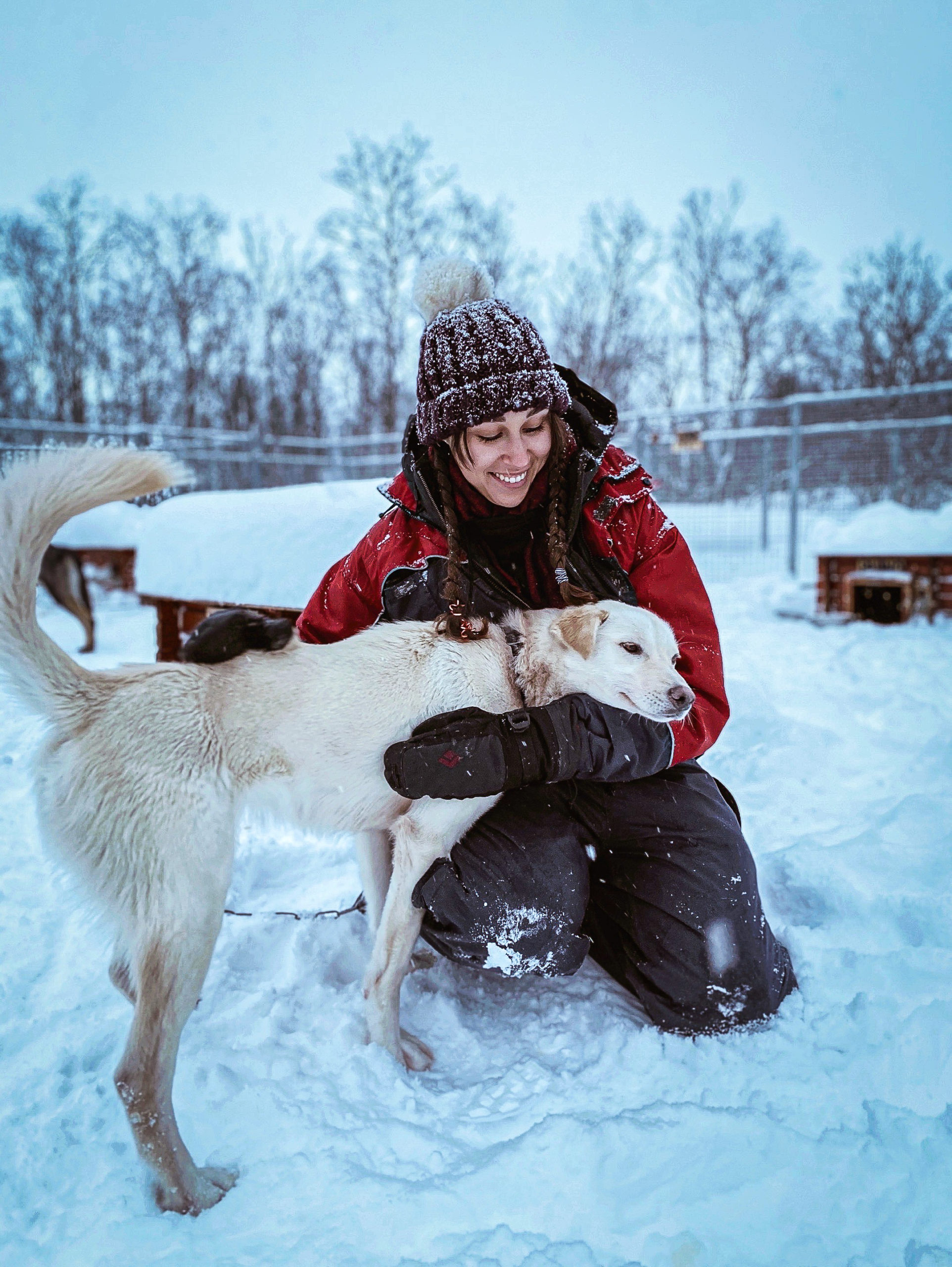Woman hugging a husky in Tromsø