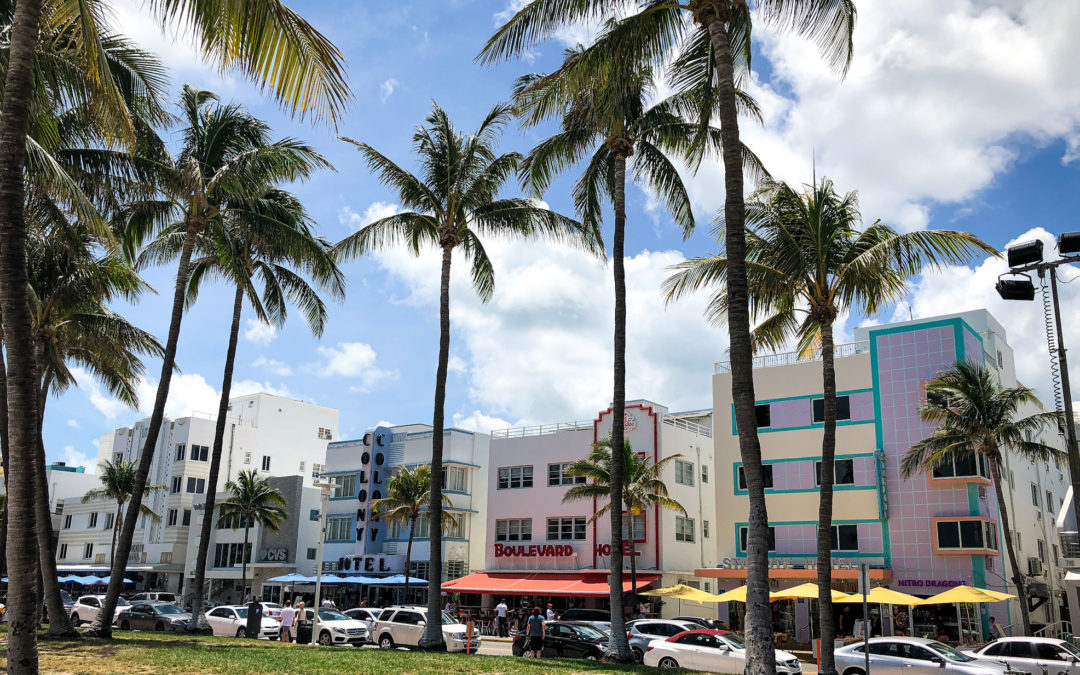 MIAMI: Our top things to do