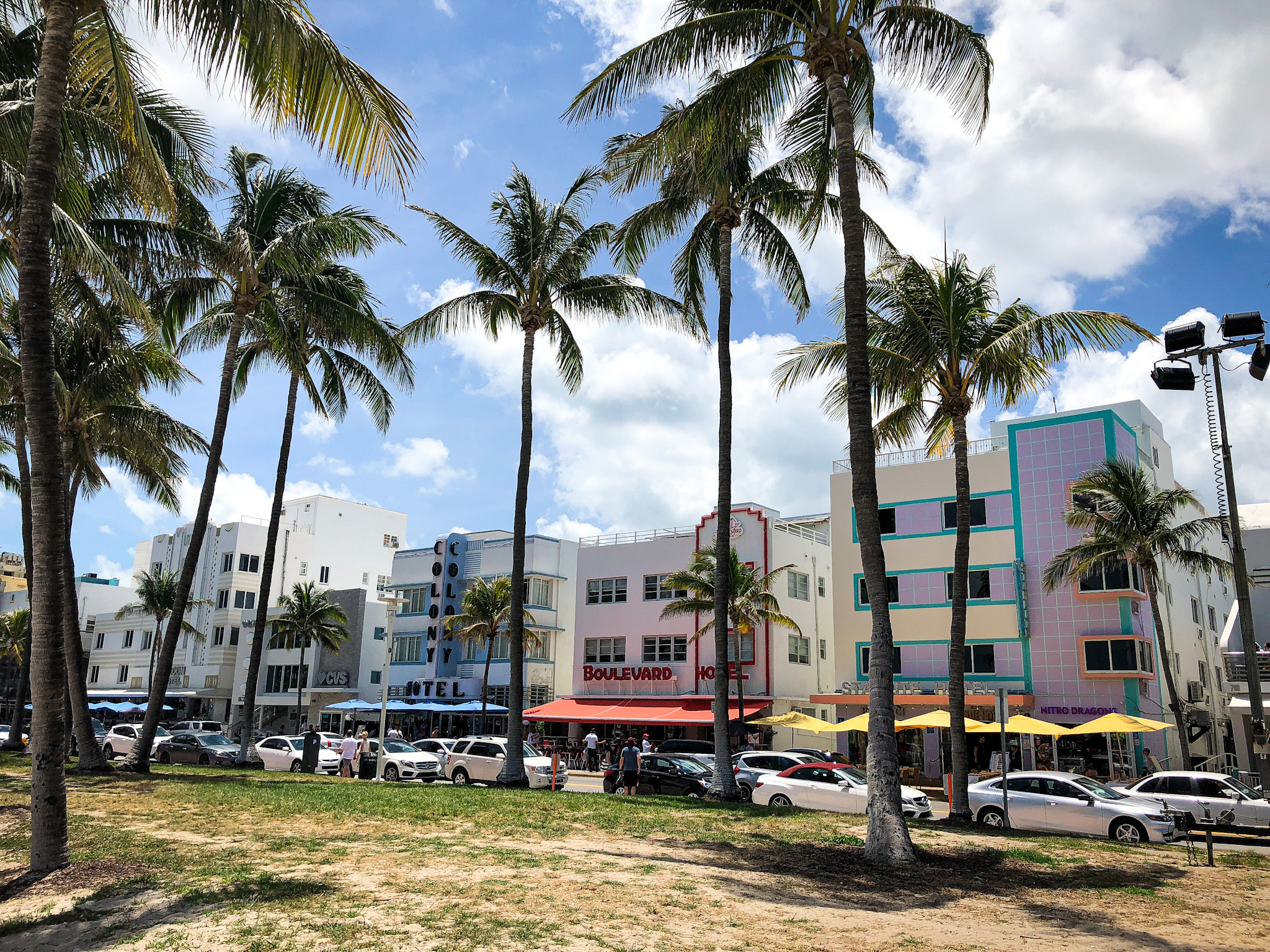 Palm trees and Art Deco buildings in Miami Beach