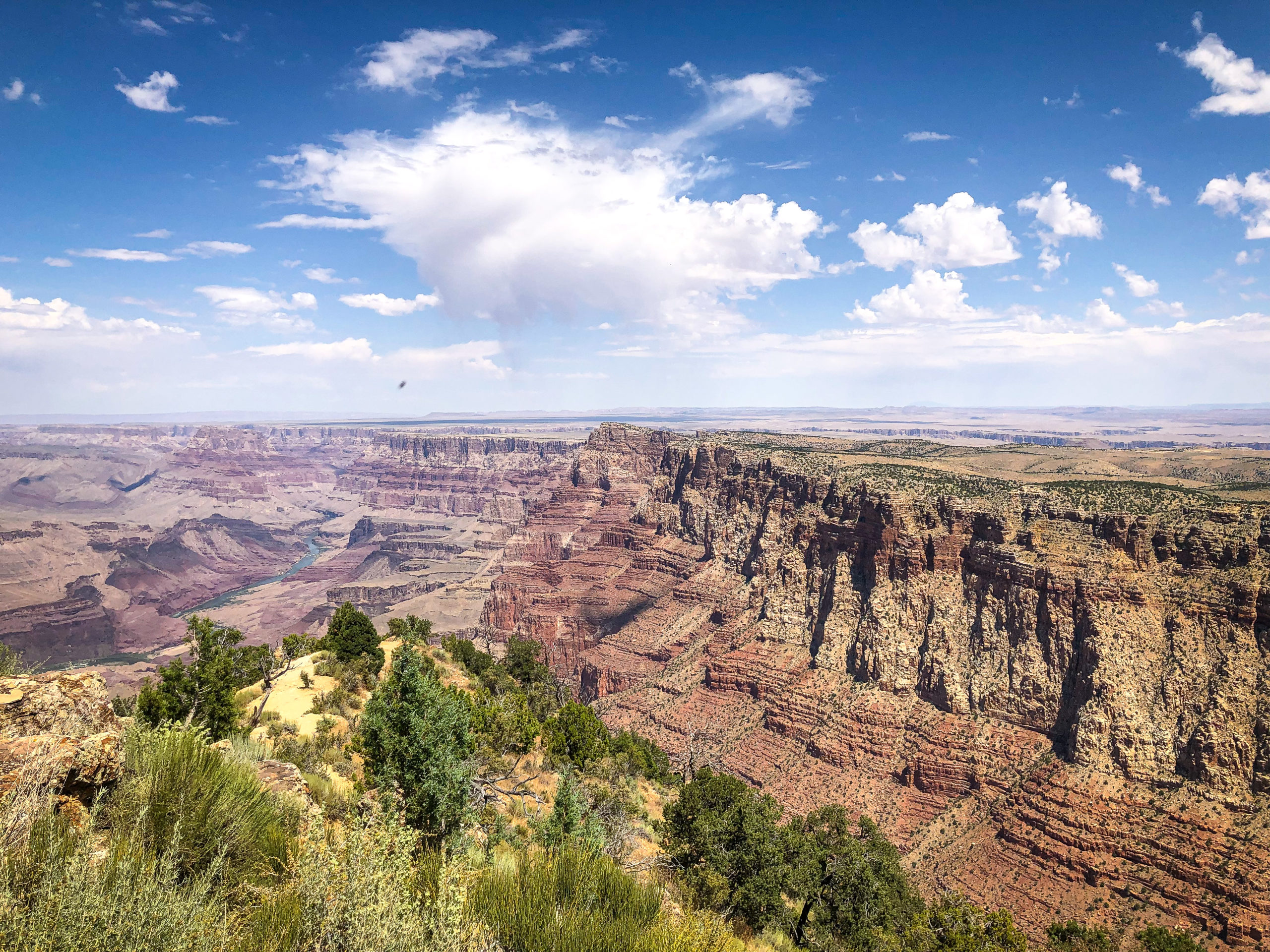 view over the Grand Canyon