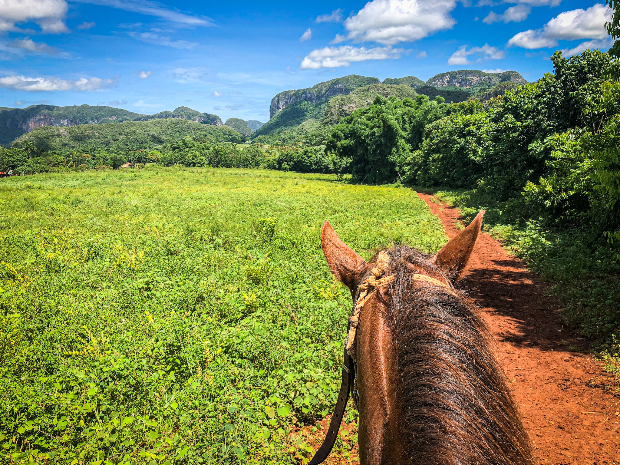 Horseback riding in Viñales in Cuba