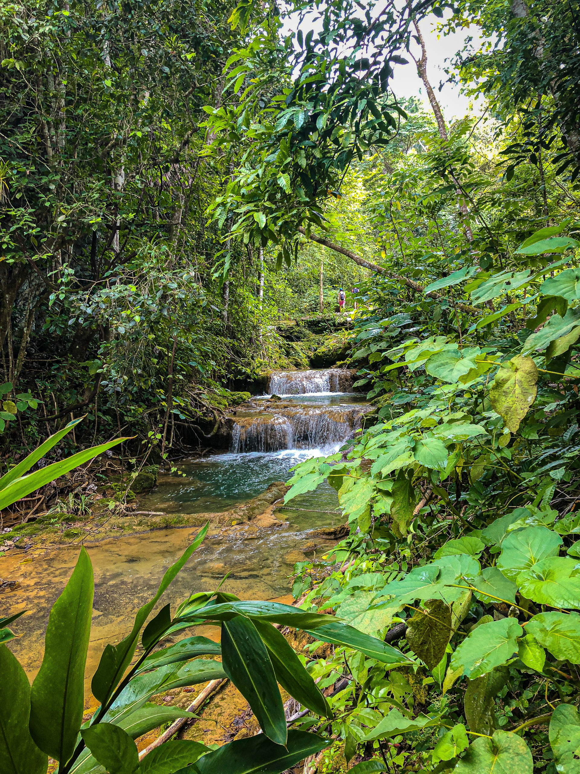 IMG_4980 El Nicho Waterfall in Cuba