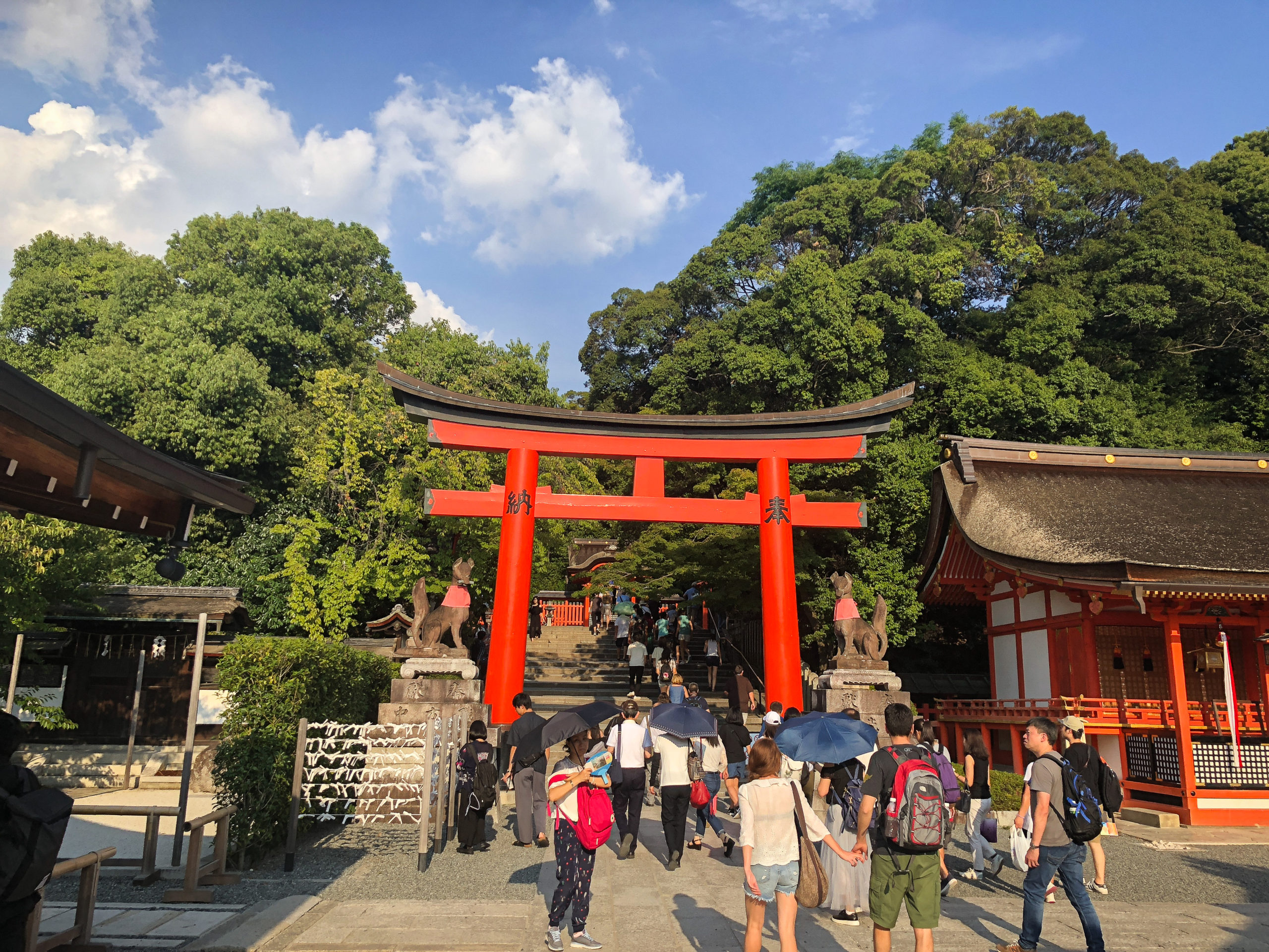 IMG_5530 Japanese red gate in Kyoto in Japan