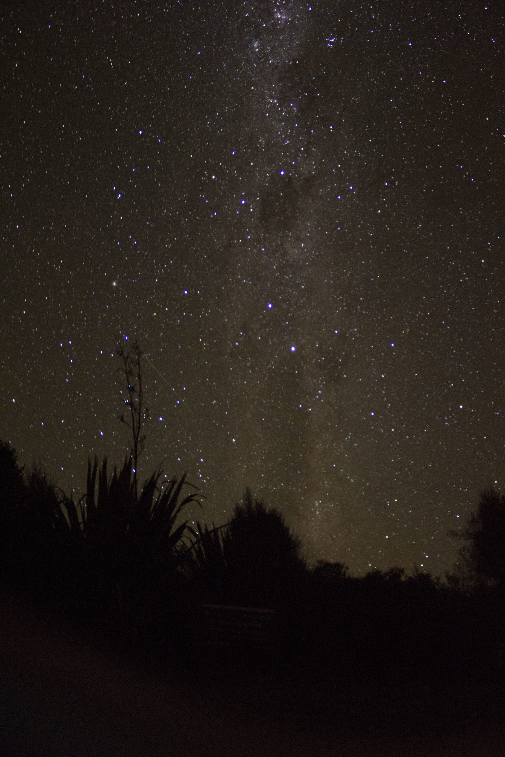Starry night in New Zealand 