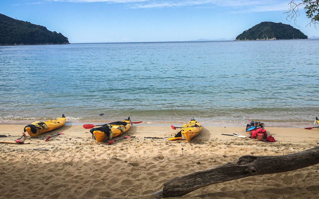 Kayaks in New Zealand