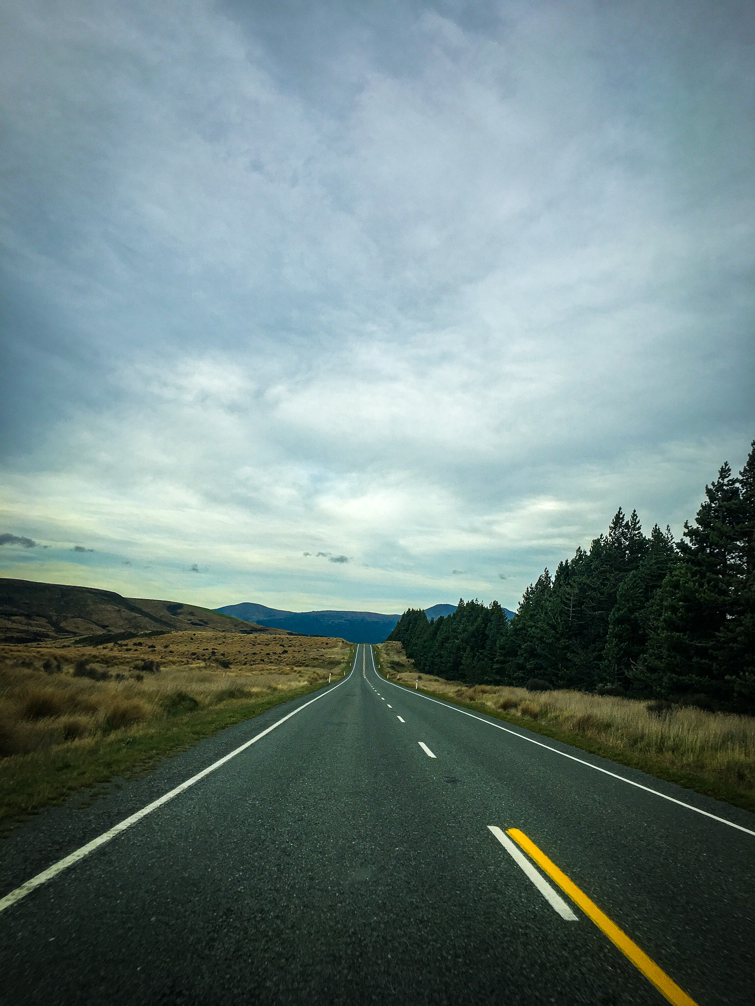 Road in New Zealand 