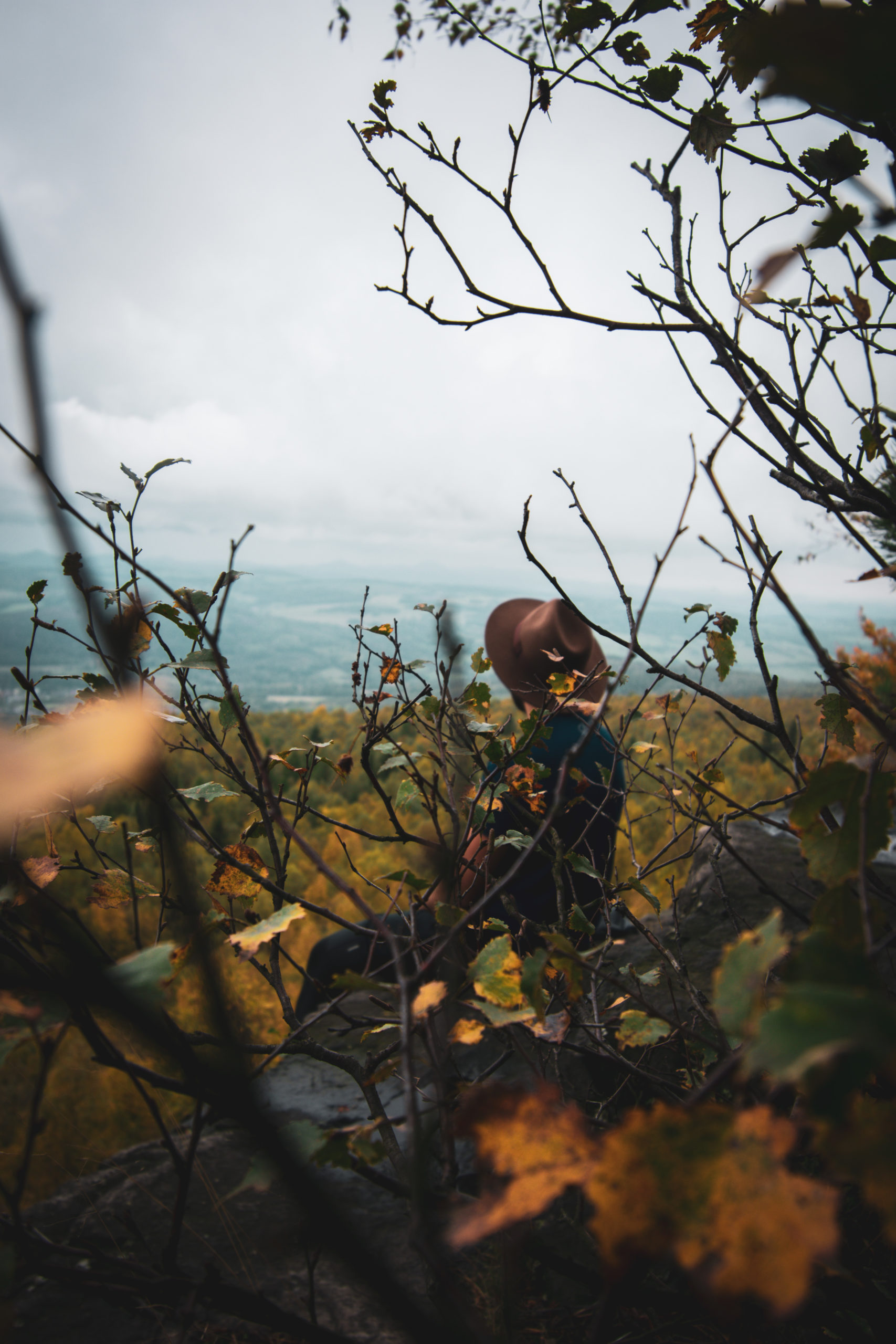 Man sitting in Bohemian Switzerland with fall colors in Czech Republic