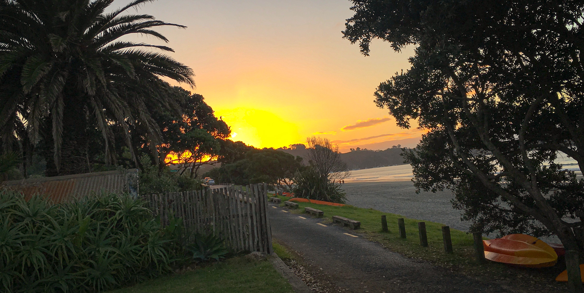 Beach at Waiheke in New Zealand at sunset