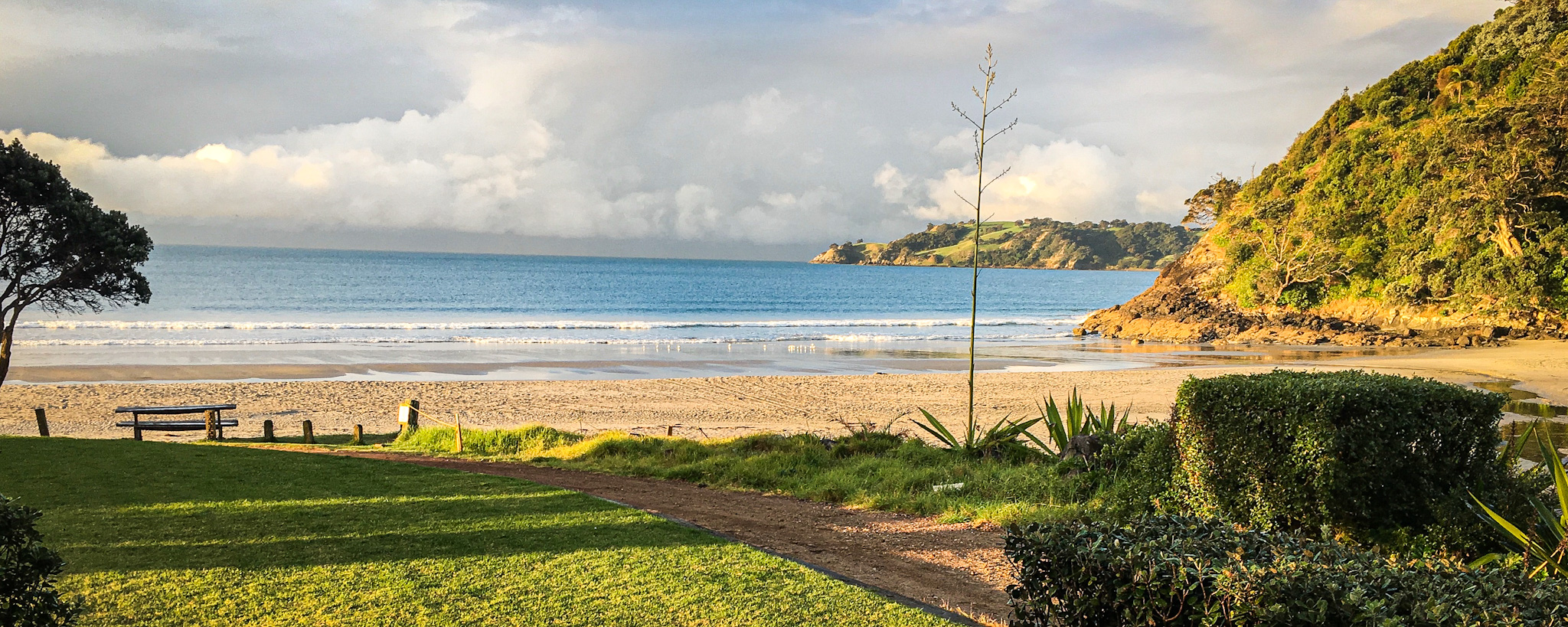 Beach at Waiheke in New Zealand