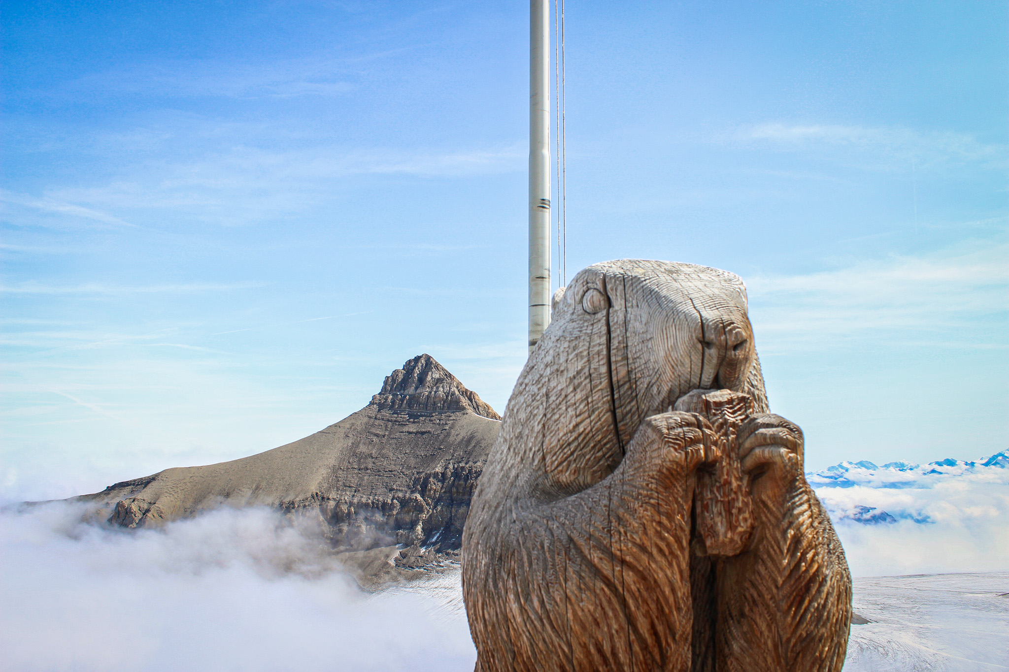 Marmot above the clouds at Glacier 3000 in Switzerland