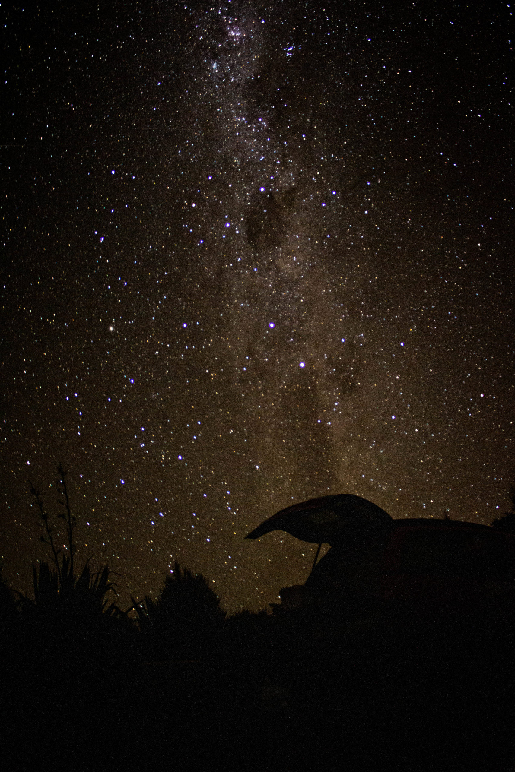 Starry night in New Zealand 